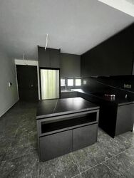 Hyll On Holland (D10), Condominium #582400591